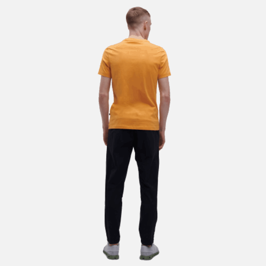 Graphique-t Mangue En Cours D'exécution